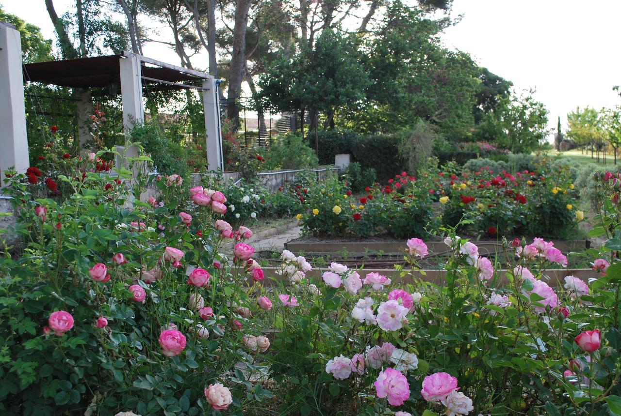 Bed and Breakfast Chateau Sainte Colombe Экстерьер фото